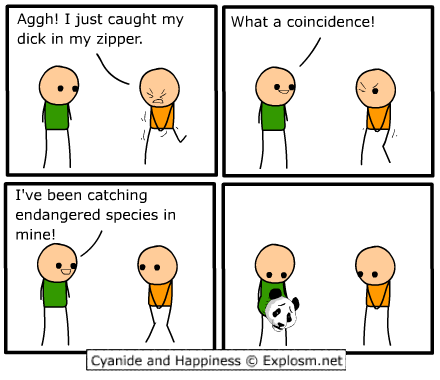 Read C&H 2008 EN Manga Online