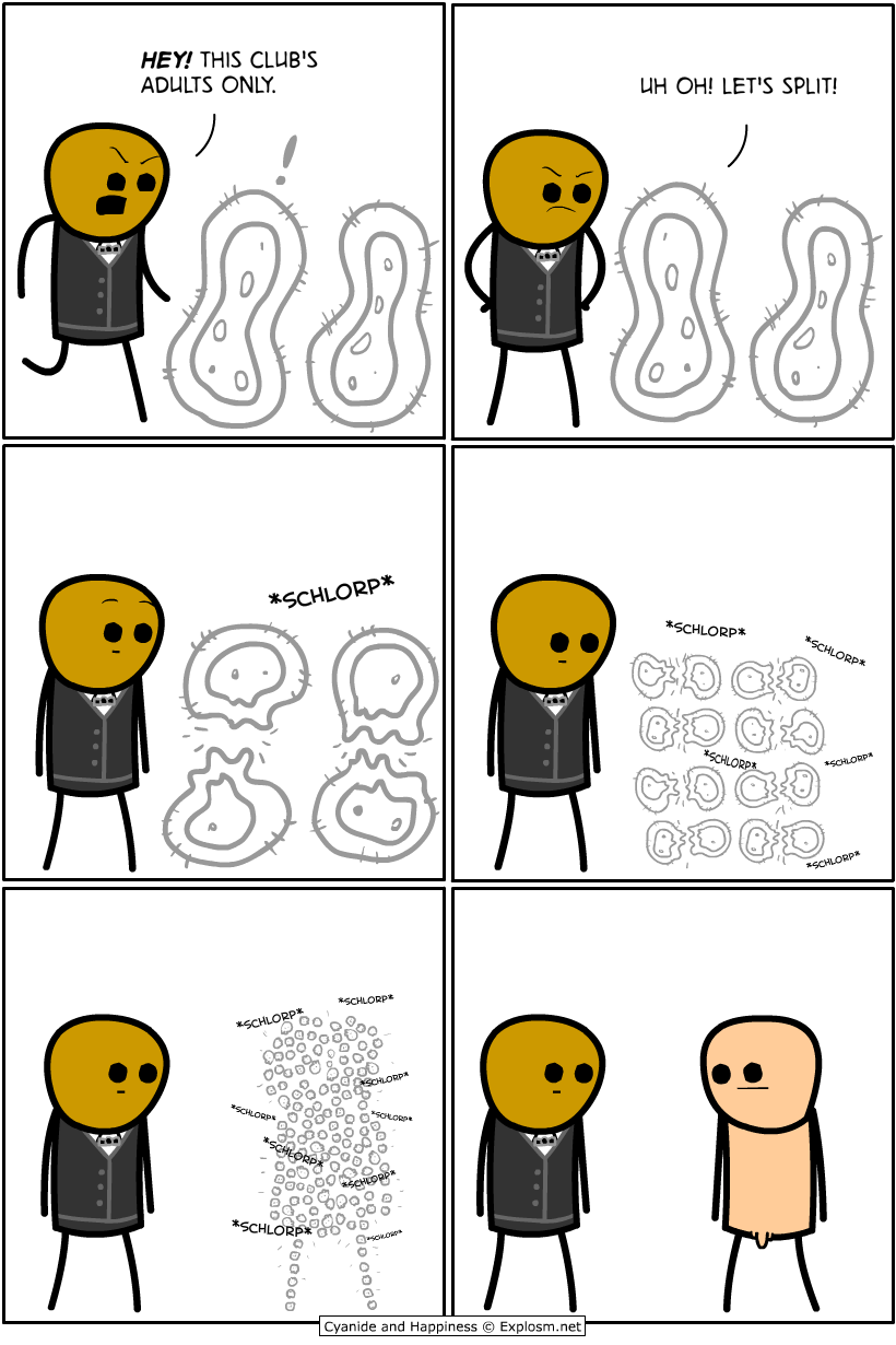 Read C&H 2024 EN Manga Online