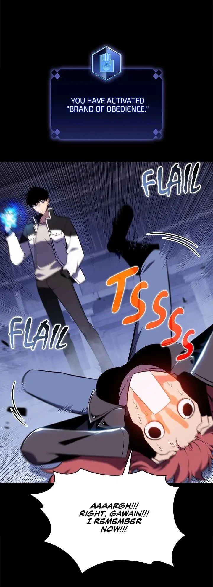 Read I’m the Max-Level Newbie EN Manga Online