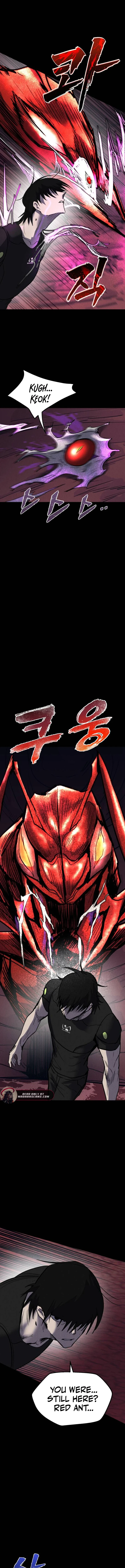 Read Insector EN Manga Online