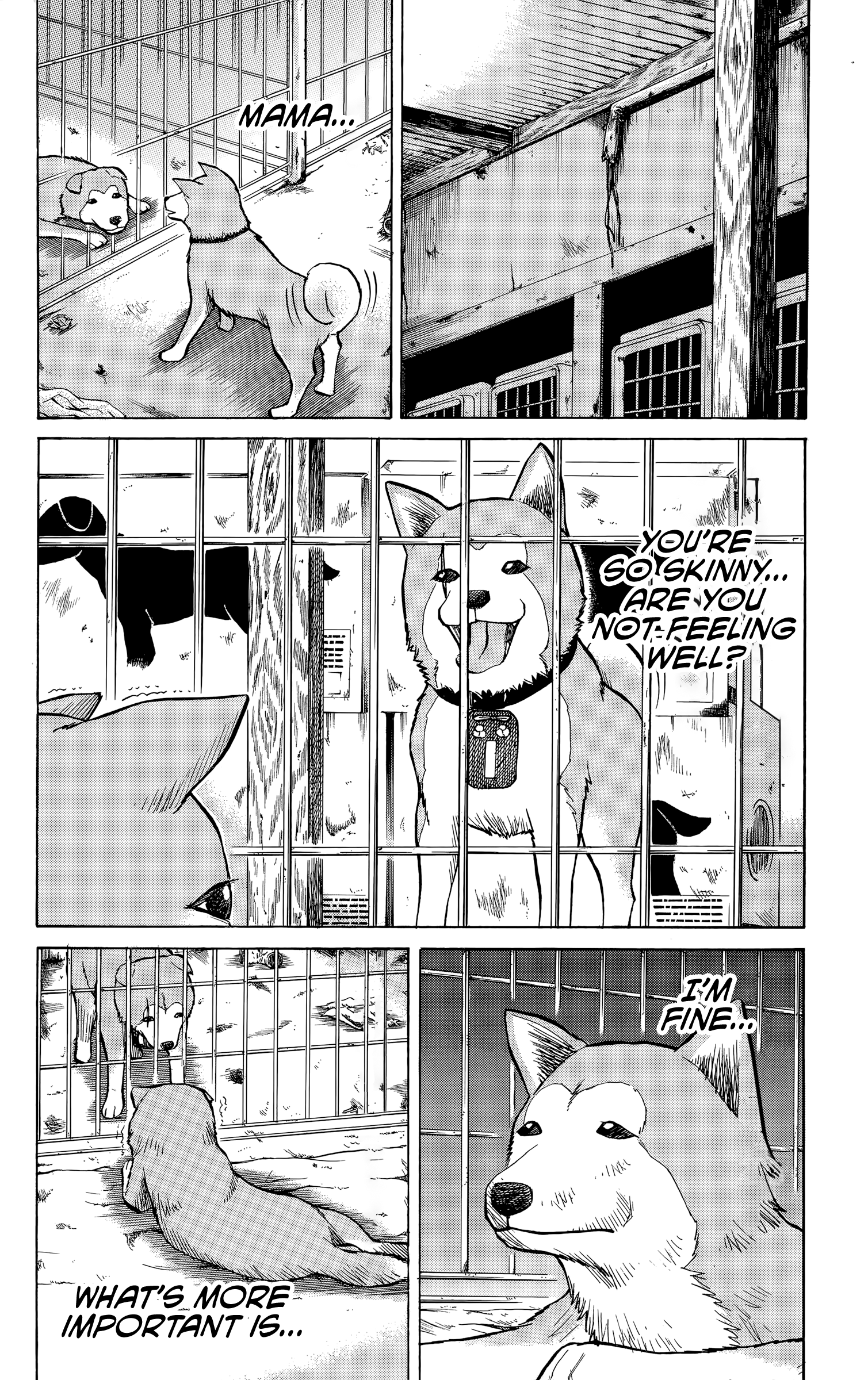 Read Nanba MG5 EN Manga Online