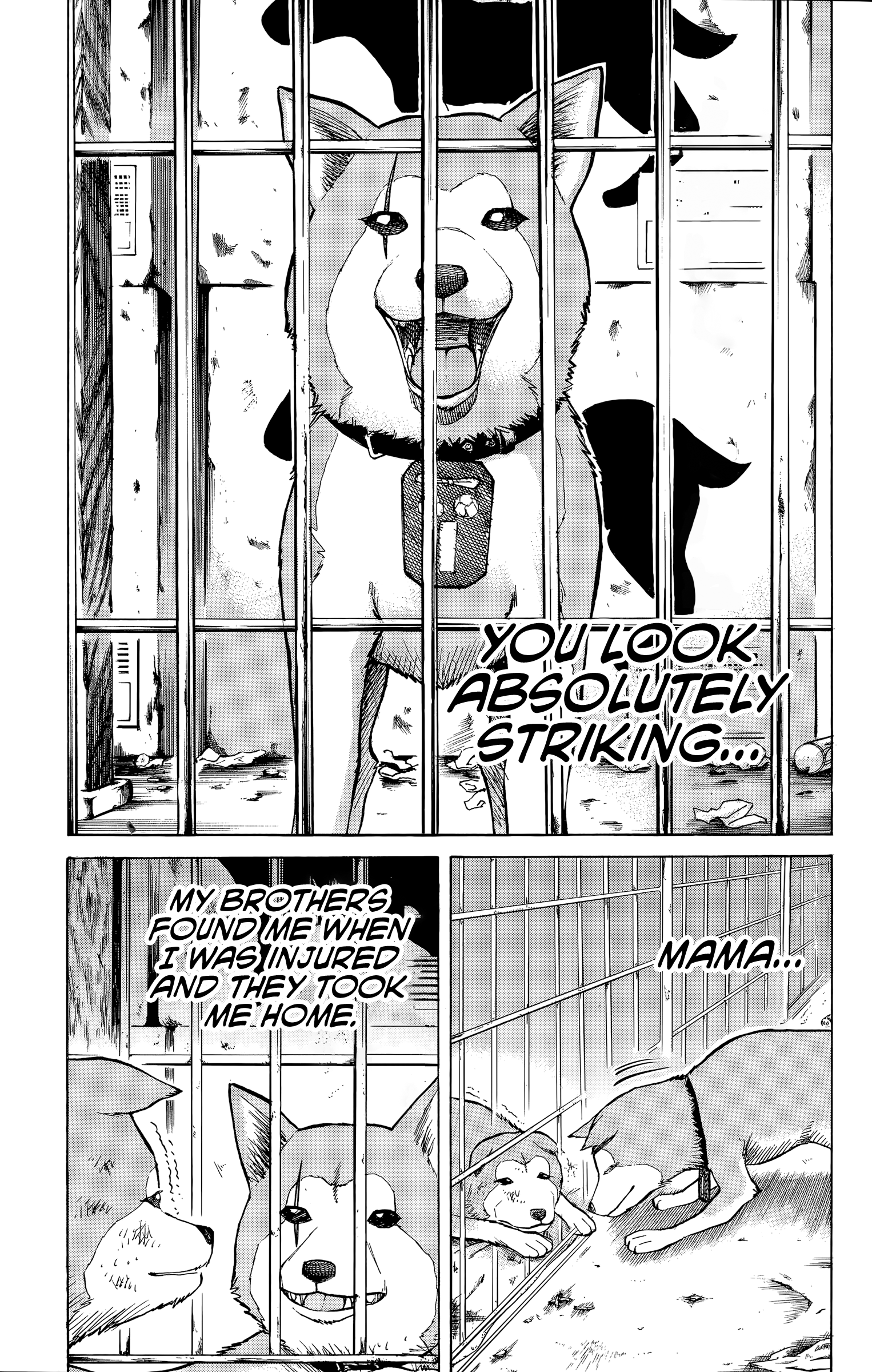Read Nanba MG5 EN Manga Online