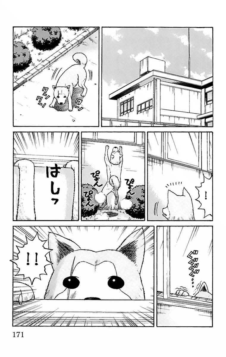 Read Nanba MG5 EN Manga Online