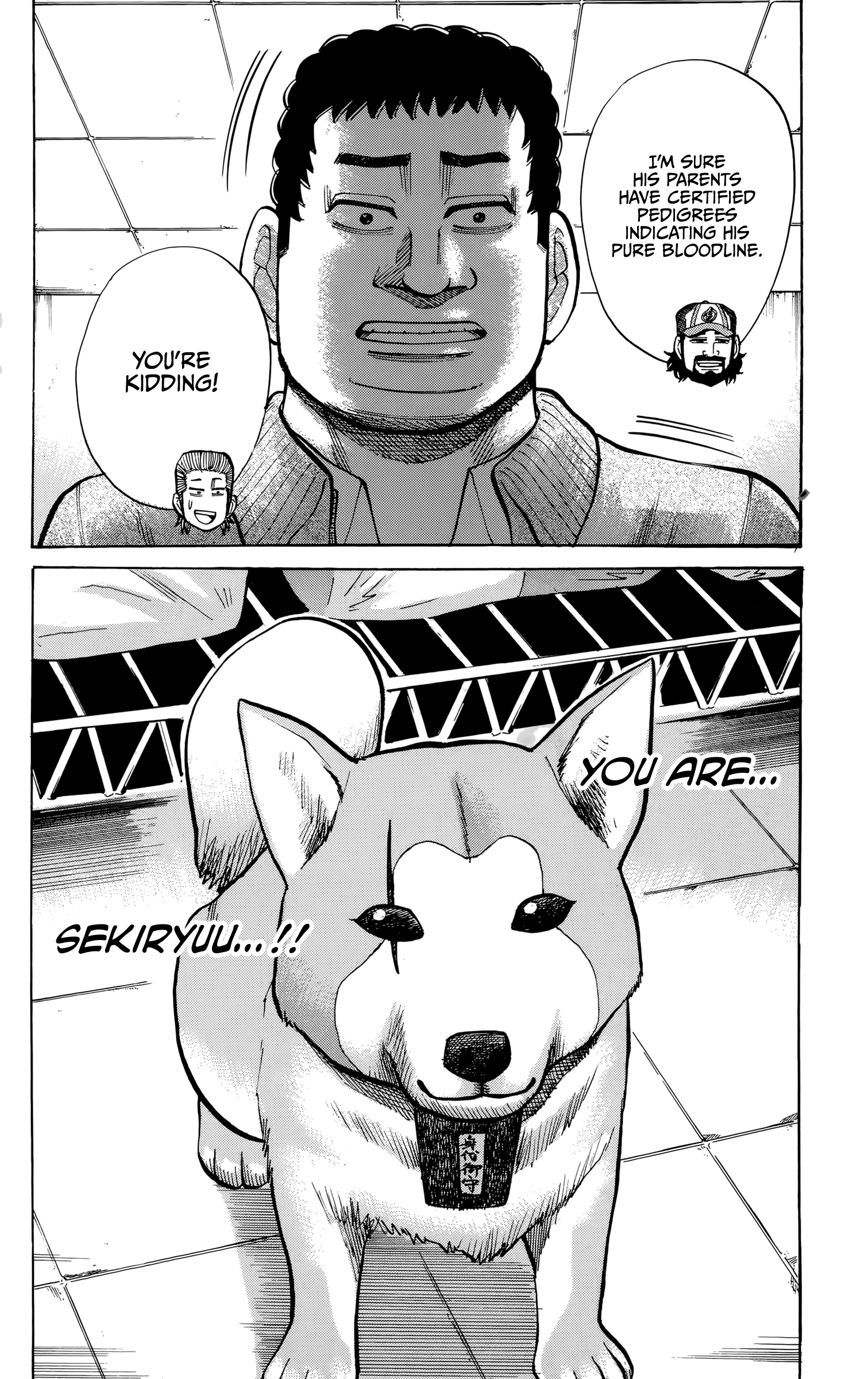 Read Nanba MG5 EN Manga Online