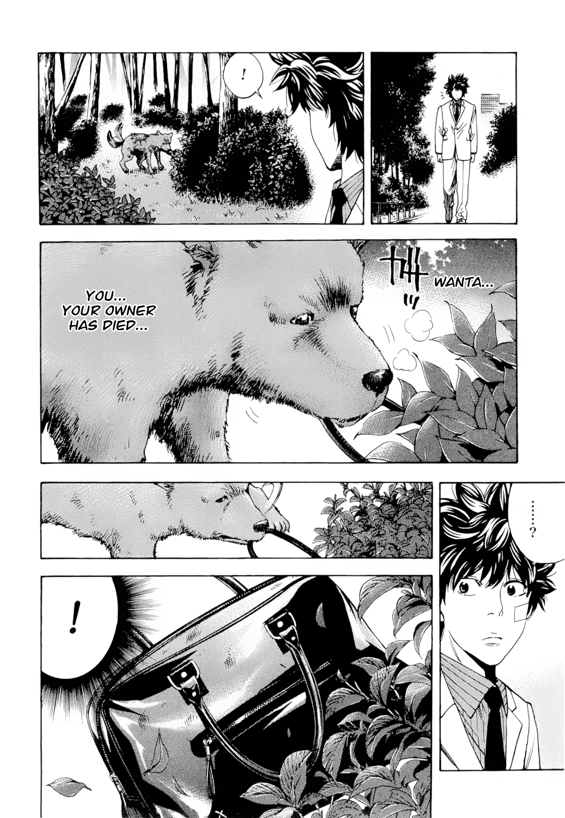 Read Ouroboros EN Manga Online