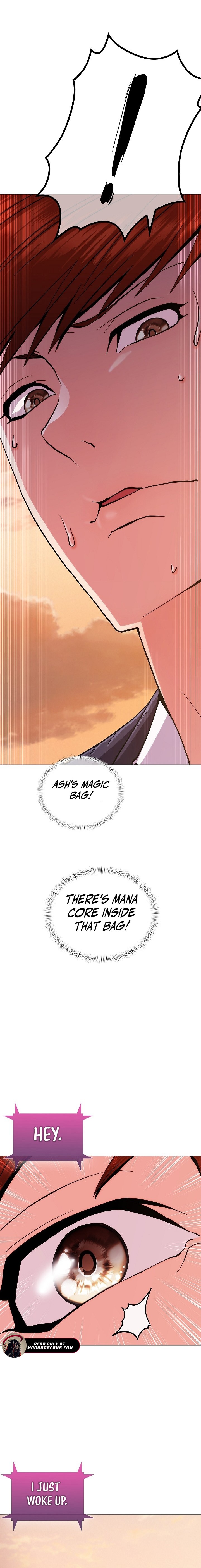 Read Plainwalker of the Stigma EN Manga Online