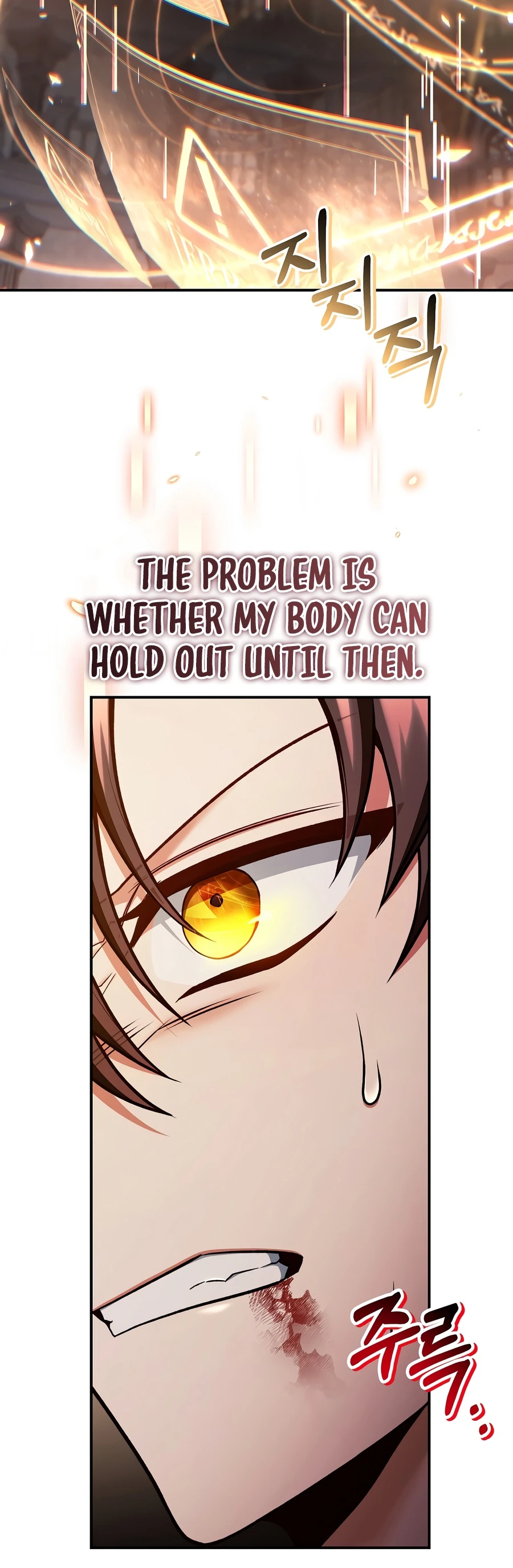 Read Regressor Instruction Manual EN Manga Online