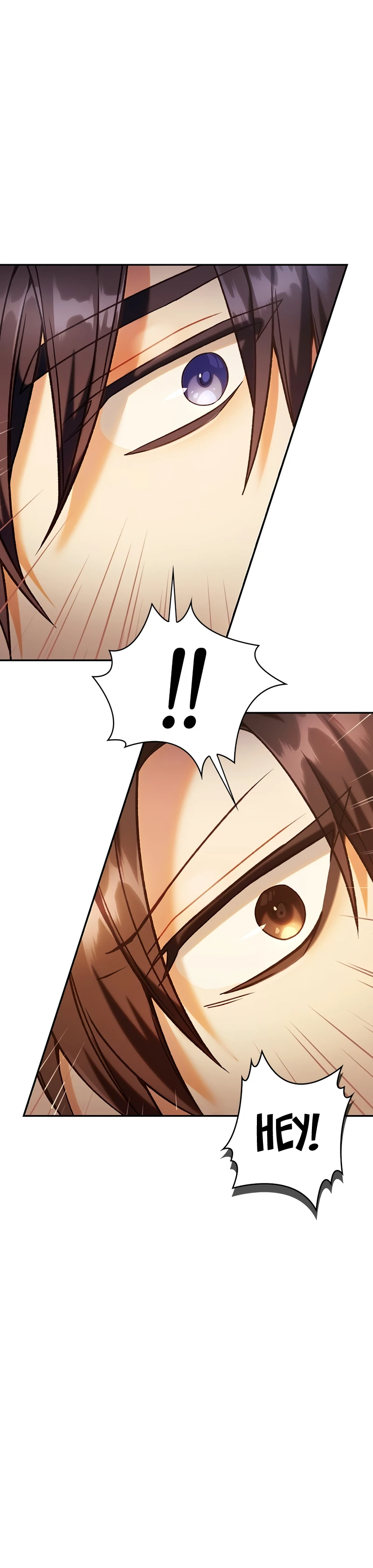 Read Regressor Instruction Manual EN Manga Online