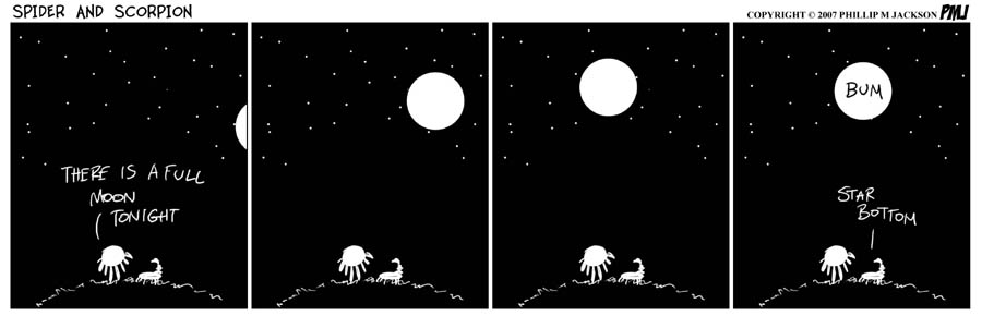 Read Spider and Scorpion EN Manga Online