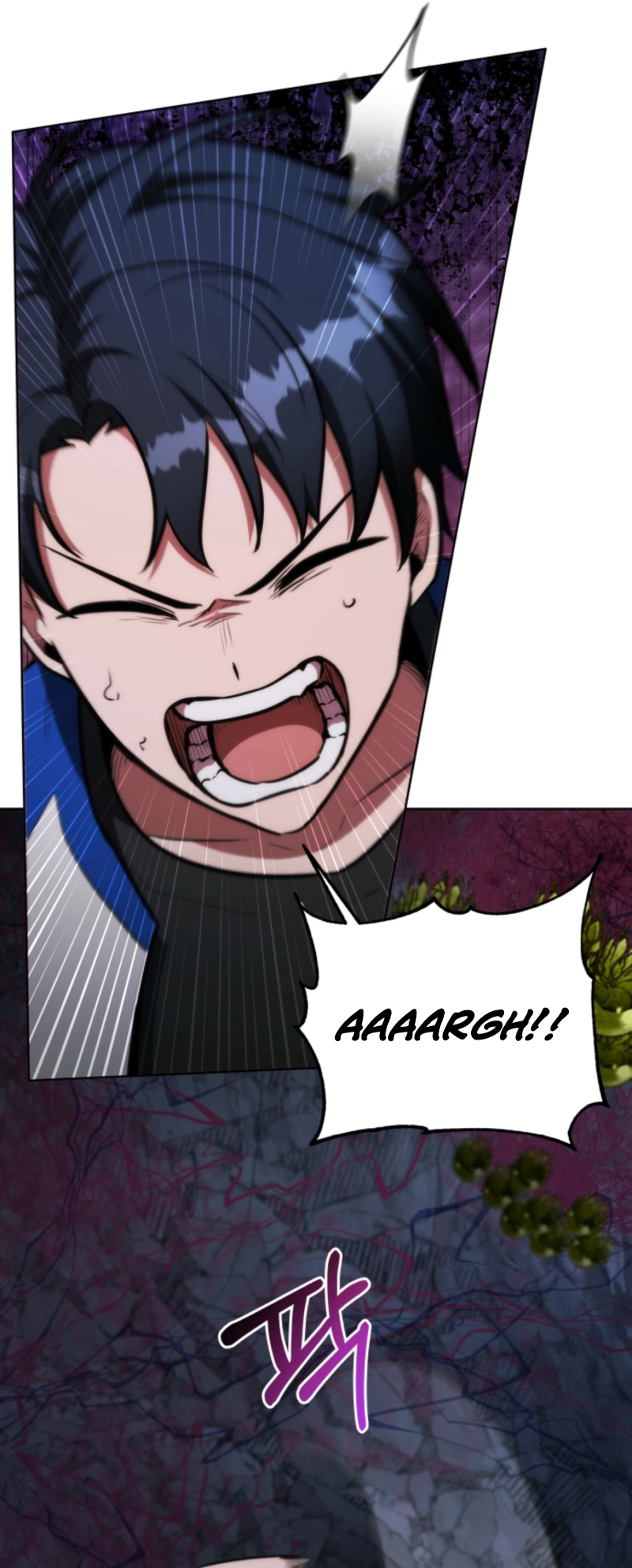 Read The Grand Cudgel Order EN Manga Online