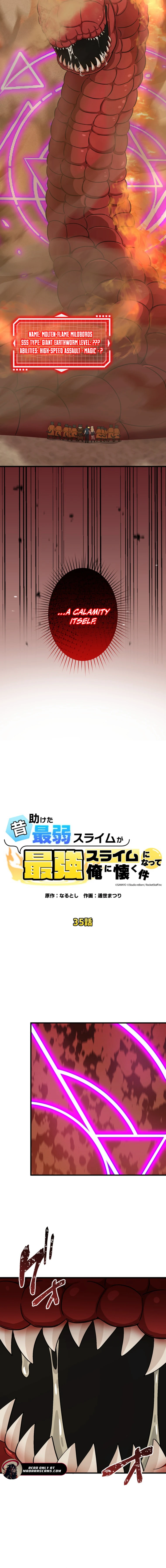 Read The Weakest Slime I Once Saved Became the Strongest and Now Won’t Leave My Side EN Manga Online