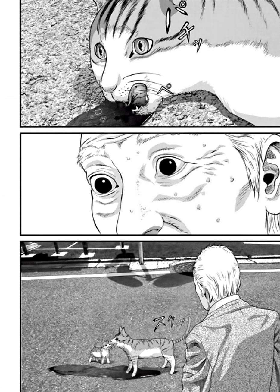 Read Inuyashiki ES Manga Online