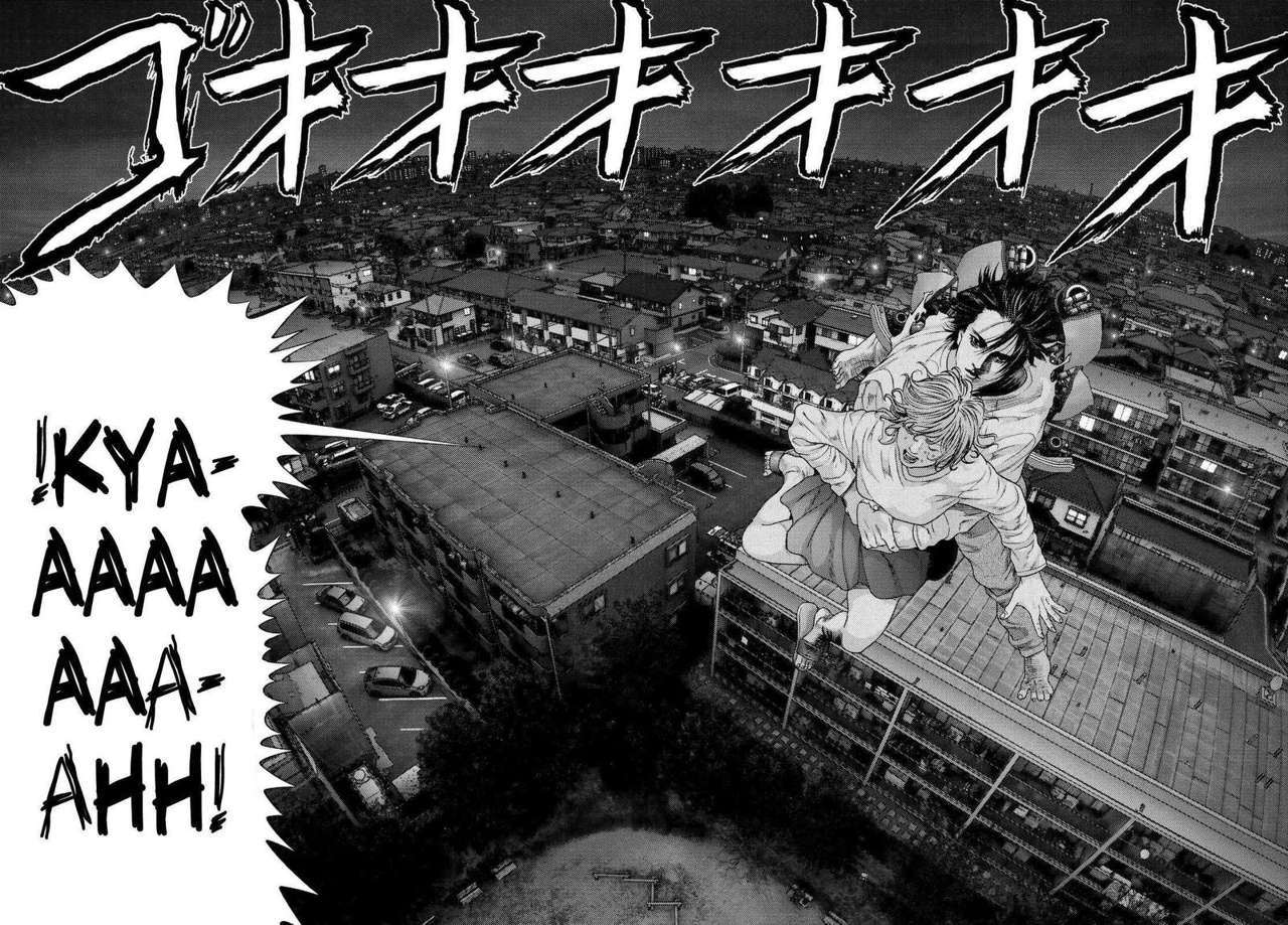 Read Inuyashiki ES Manga Online