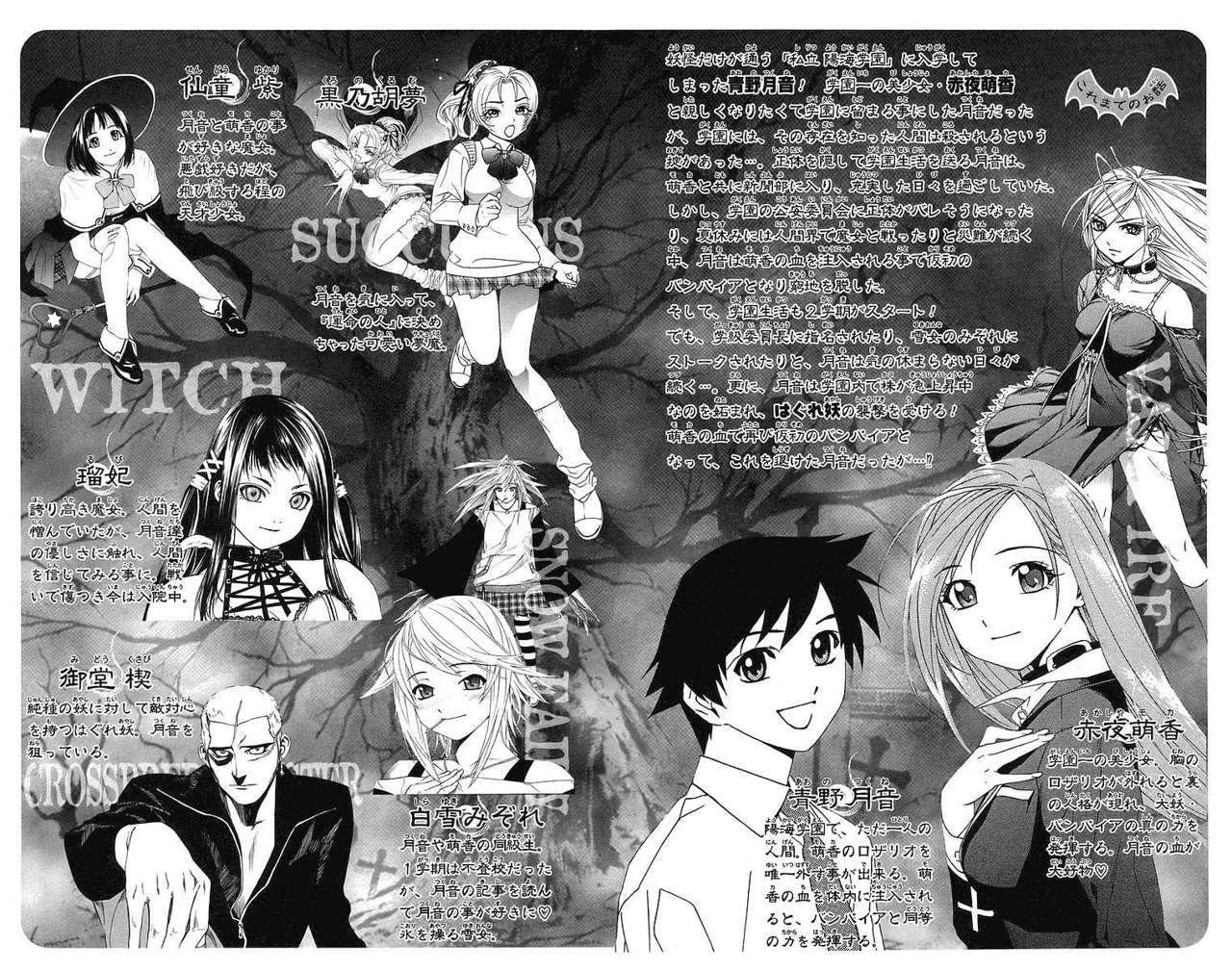 Read Rosario + Vampire ES Manga Online
