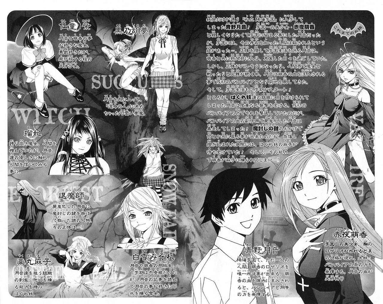 Read Rosario + Vampire ES Manga Online