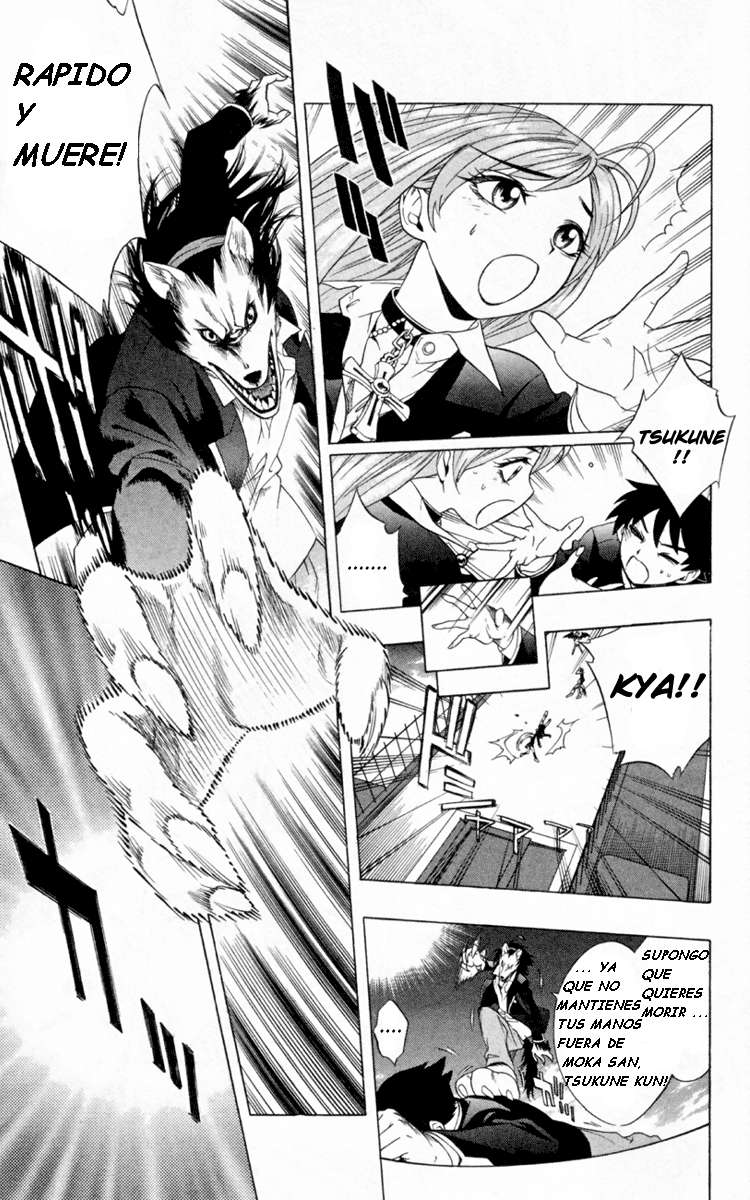 Read Rosario + Vampire ES Manga Online