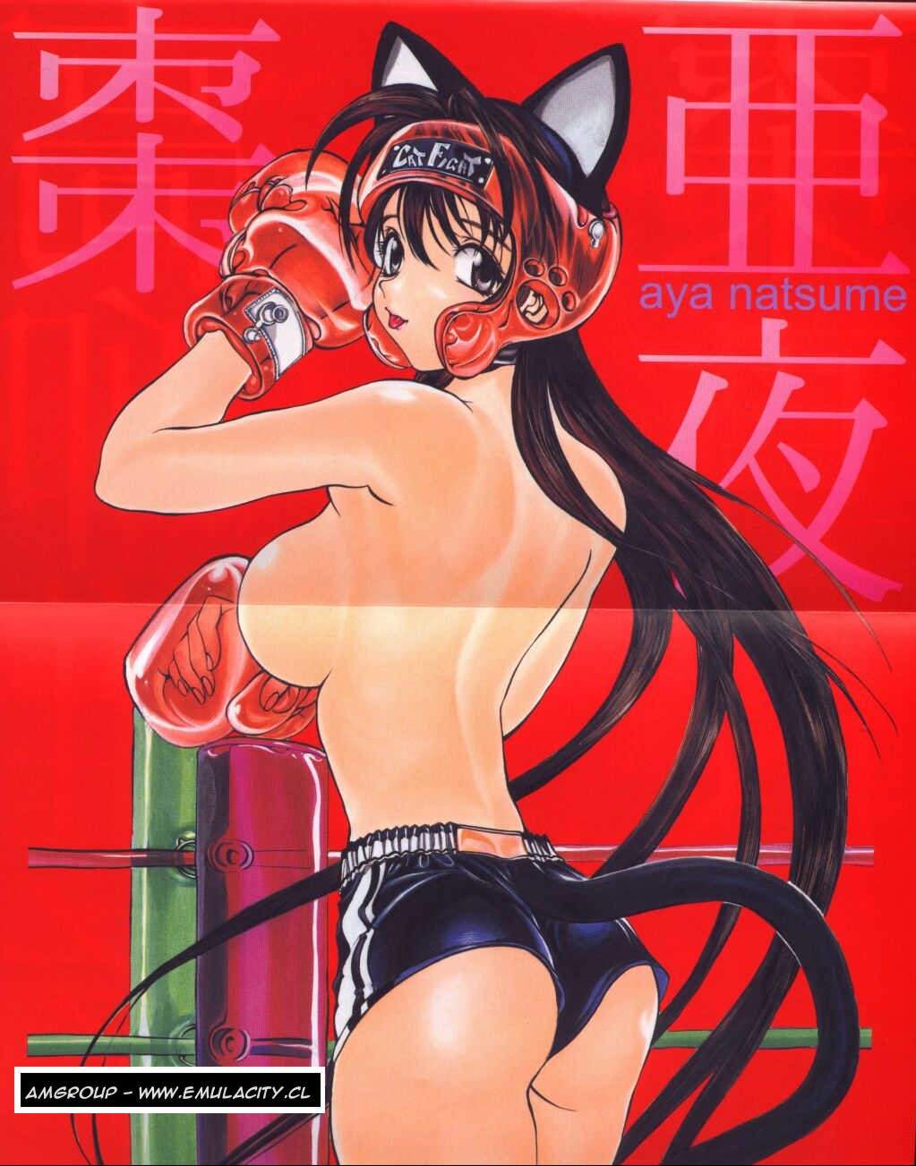Read Tenjou Tenge ES Manga Online