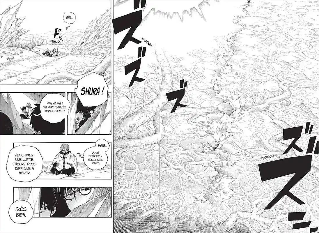 Read Blue Exorcist FR Manga Online