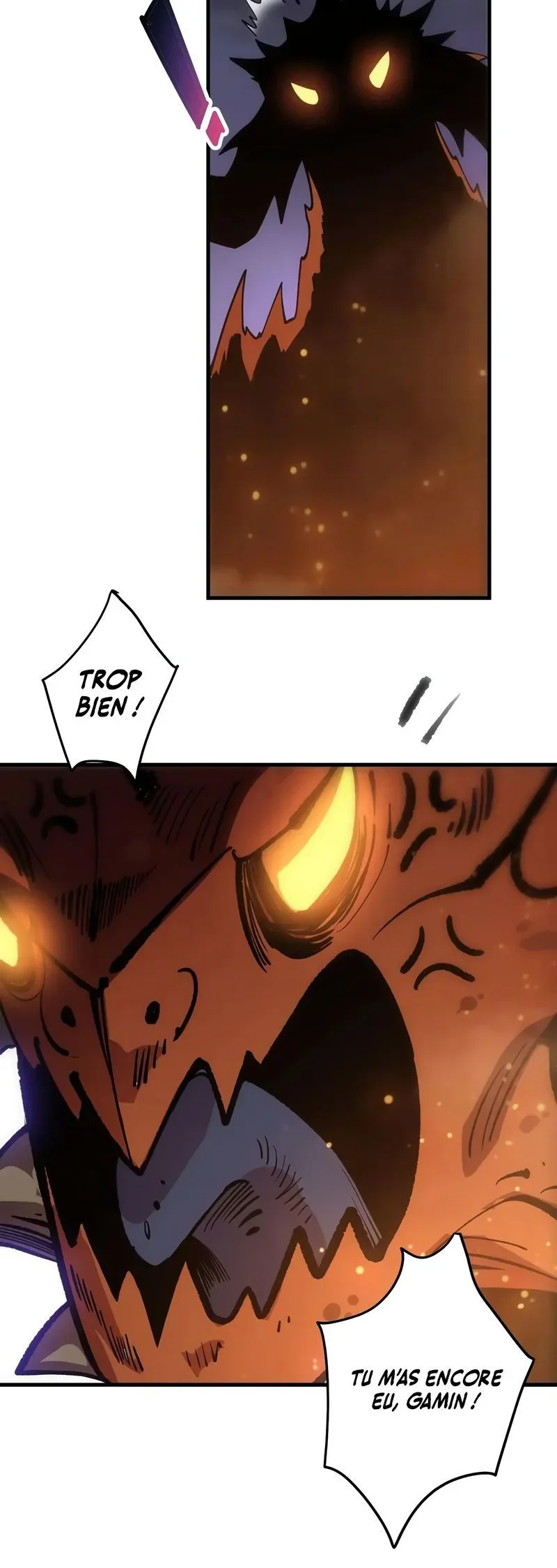Read Catastrophic Necromancer FR Manga Online