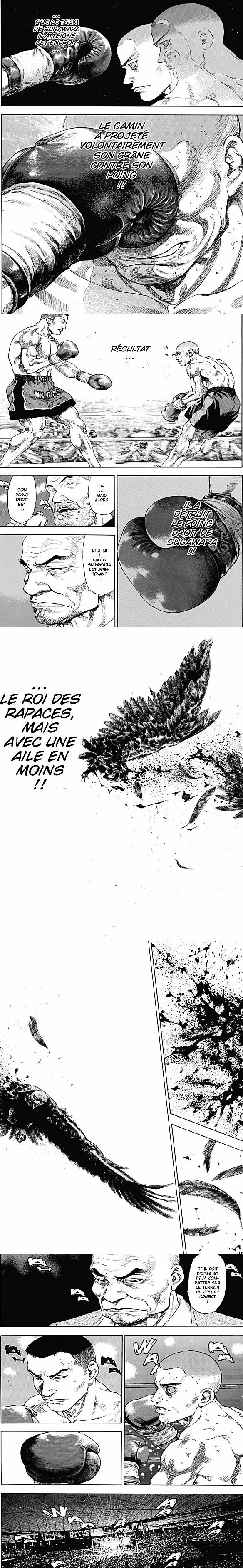 Read Coq de Combat FR Manga Online