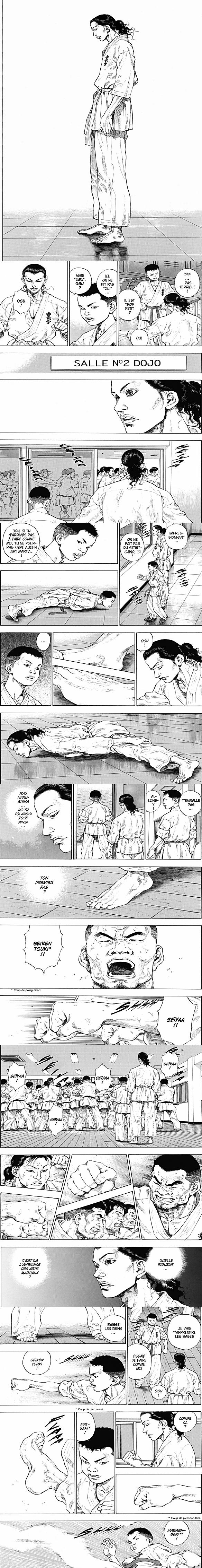 Read Coq de Combat FR Manga Online