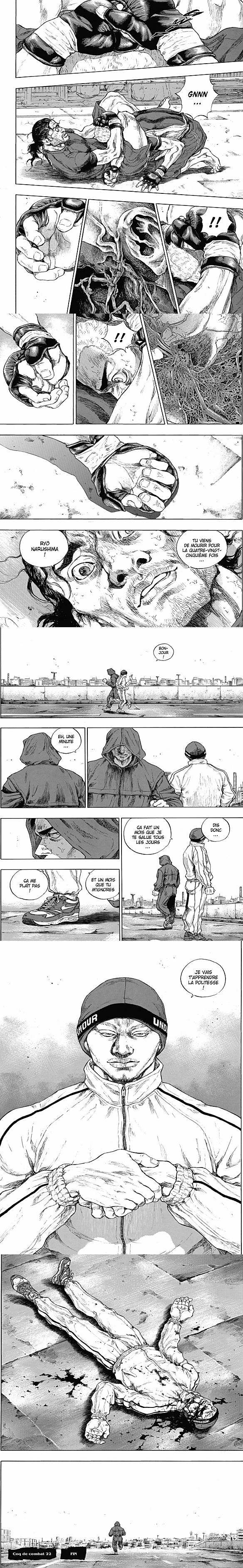 Read Coq de Combat FR Manga Online