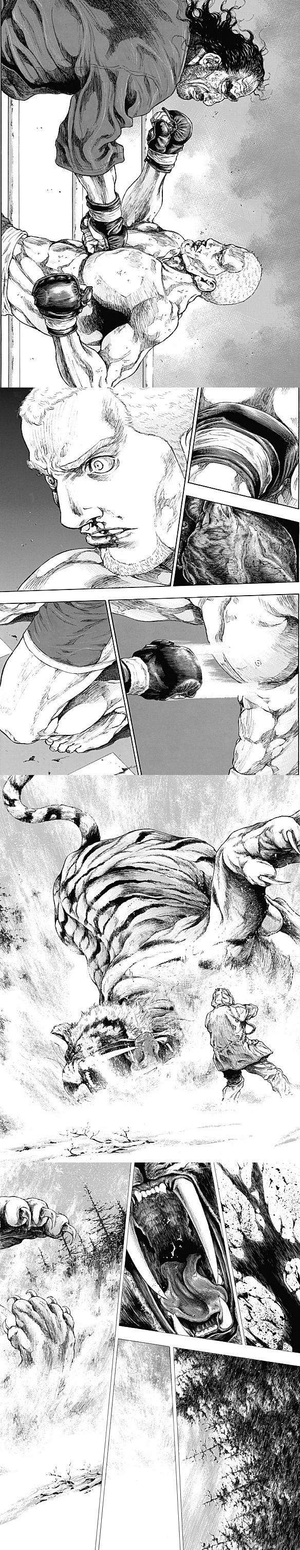 Read Coq de Combat FR Manga Online