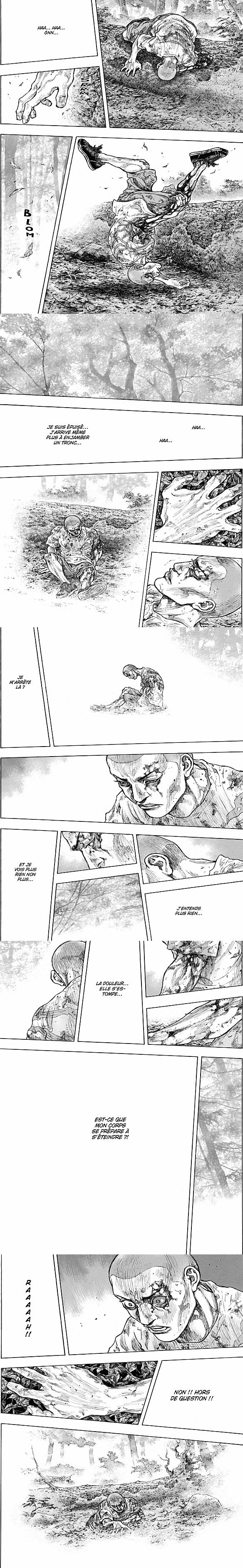 Read Coq de Combat FR Manga Online