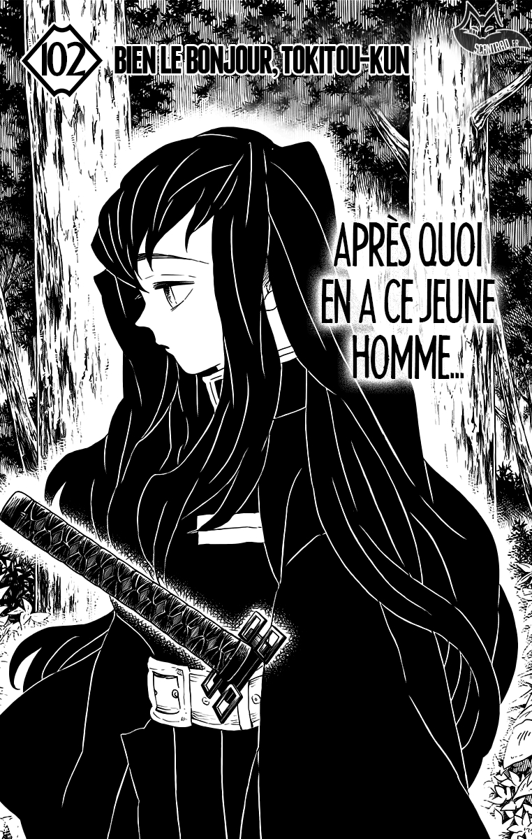 Read Demon Slayer FR Manga Online