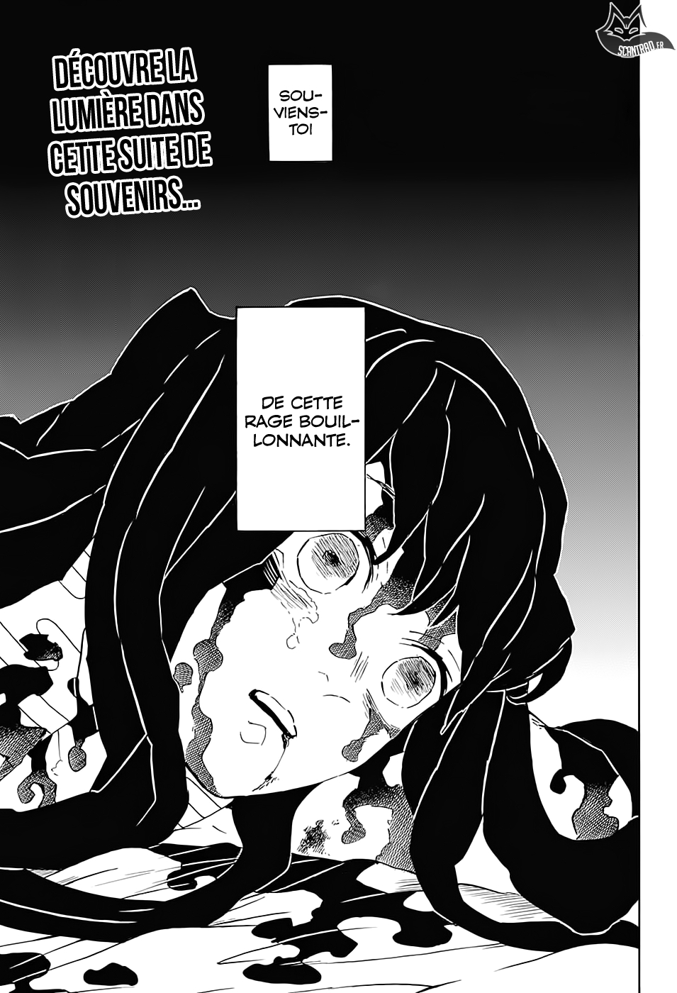 Read Demon Slayer FR Manga Online
