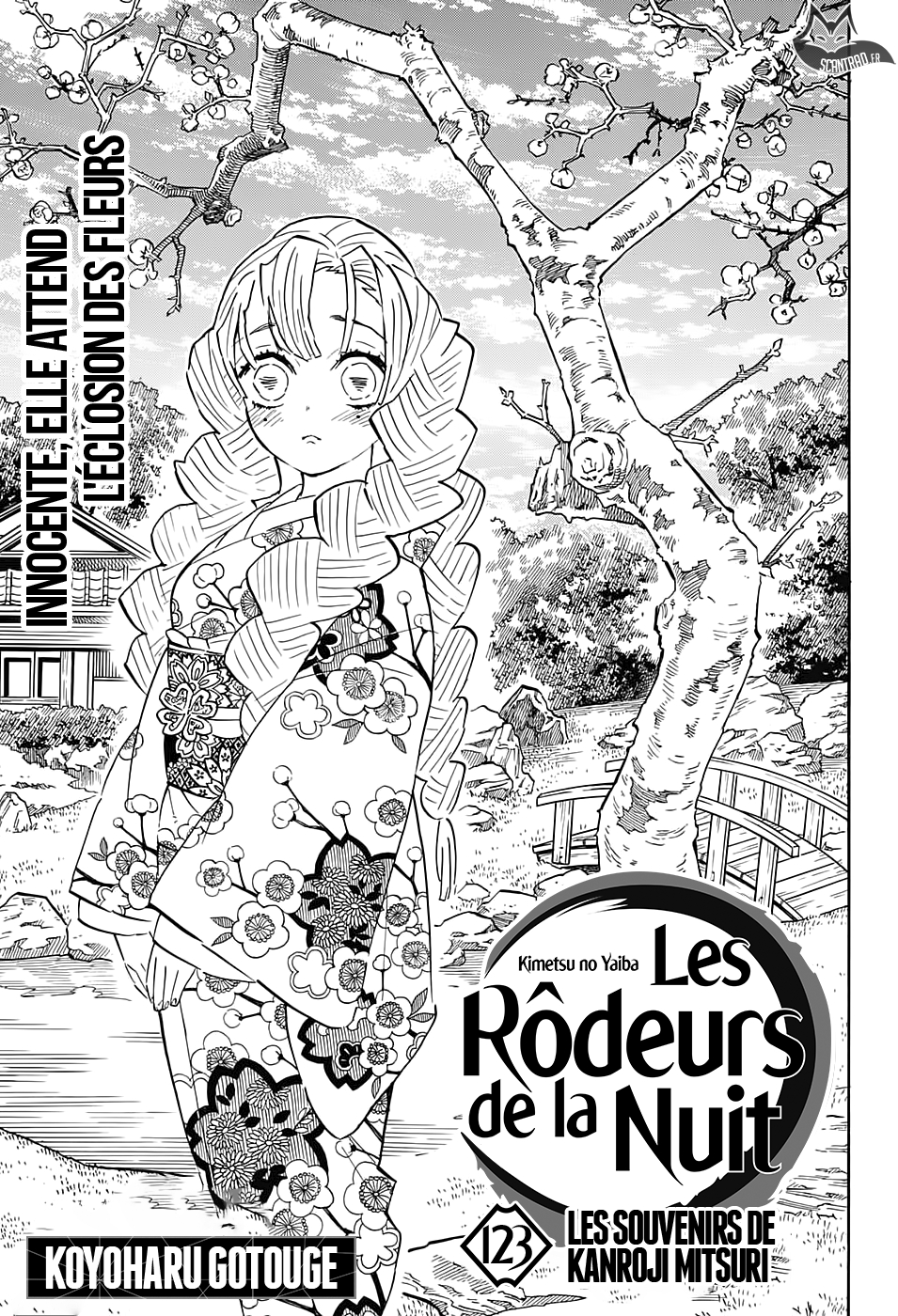 Read Demon Slayer FR Manga Online