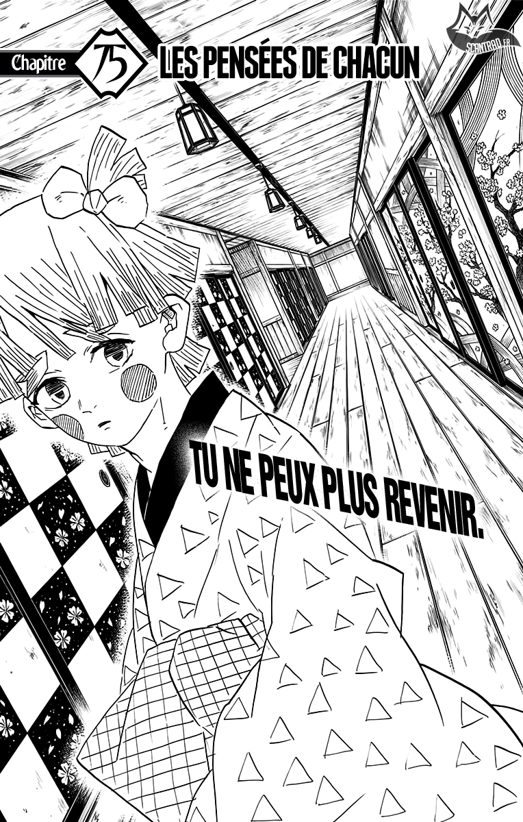 Read Demon Slayer FR Manga Online