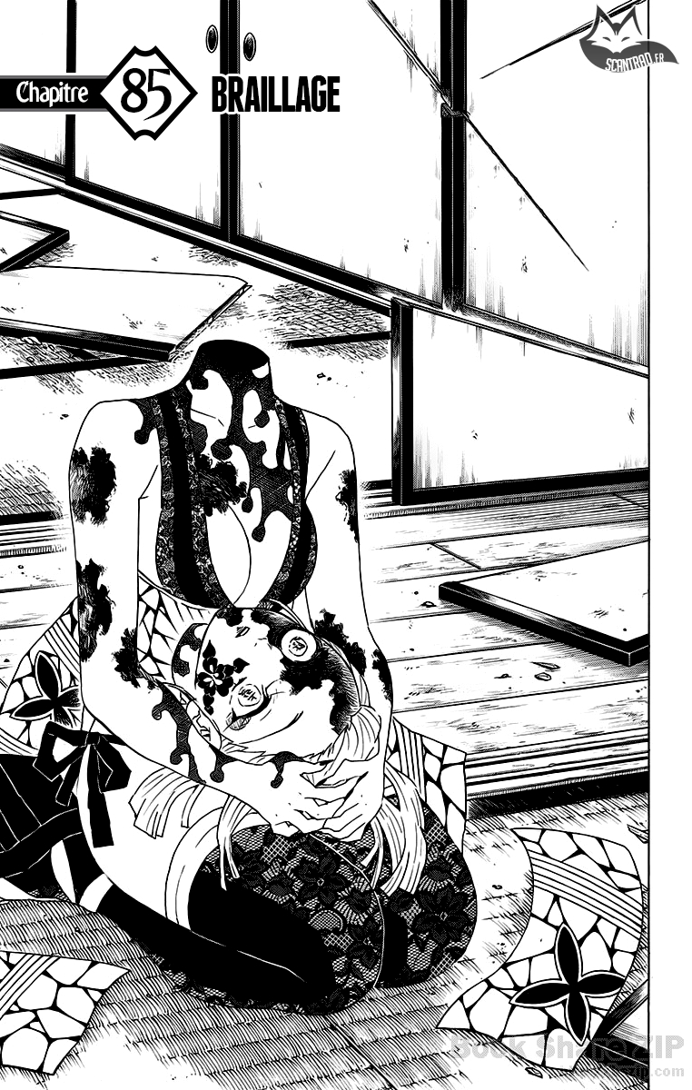 Read Demon Slayer FR Manga Online