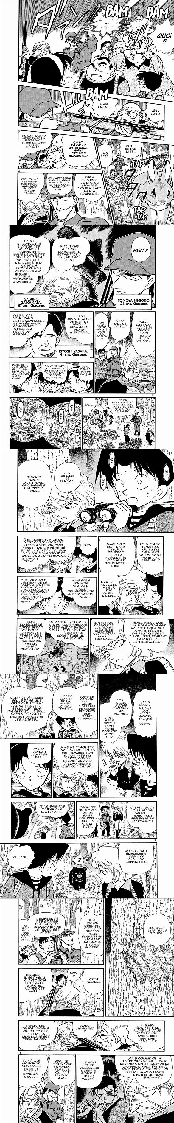 Read Detective Conan FR Manga Online