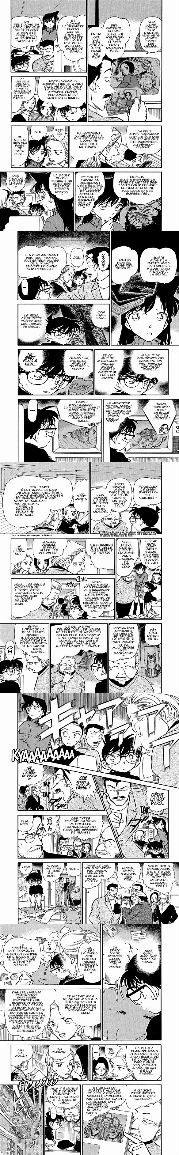 Read Detective Conan FR Manga Online