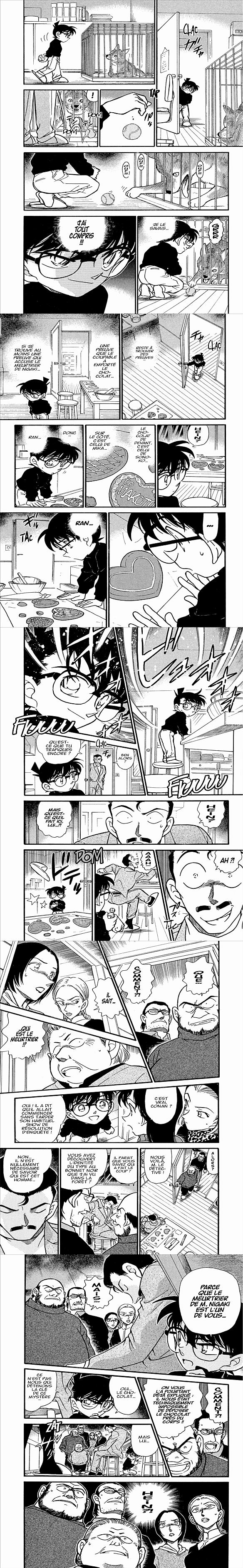 Read Detective Conan FR Manga Online