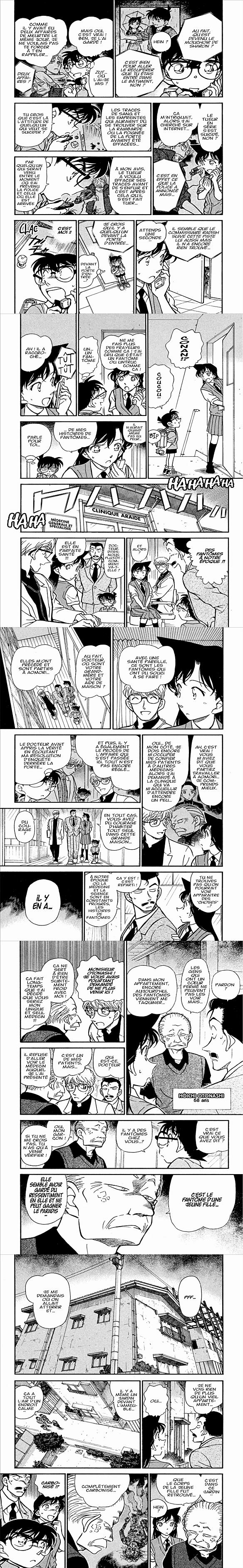 Read Detective Conan FR Manga Online