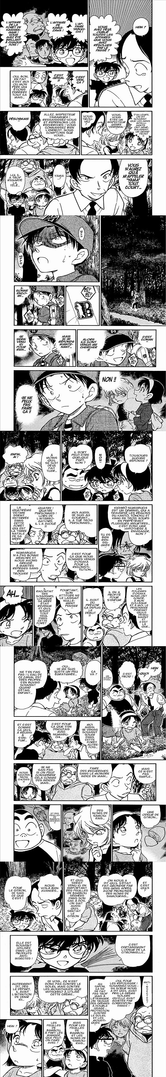 Read Detective Conan FR Manga Online