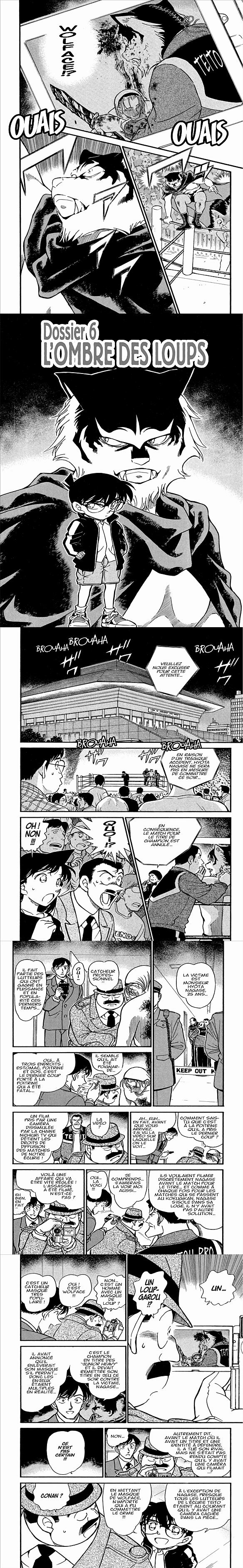 Read Detective Conan FR Manga Online