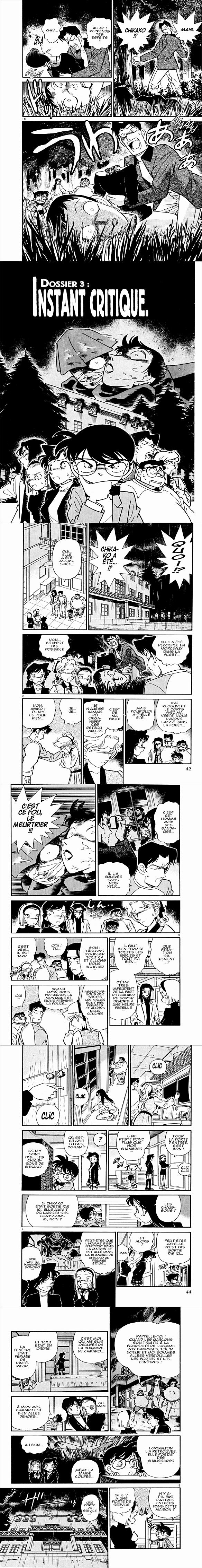 Read Detective Conan FR Manga Online
