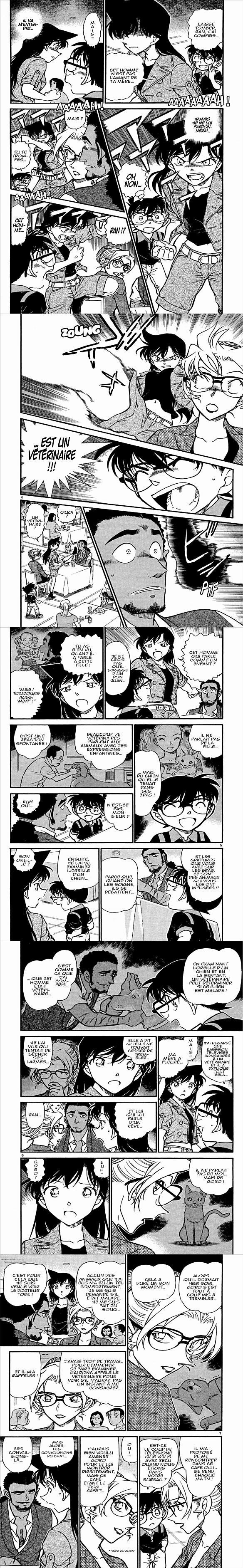 Read Detective Conan FR Manga Online