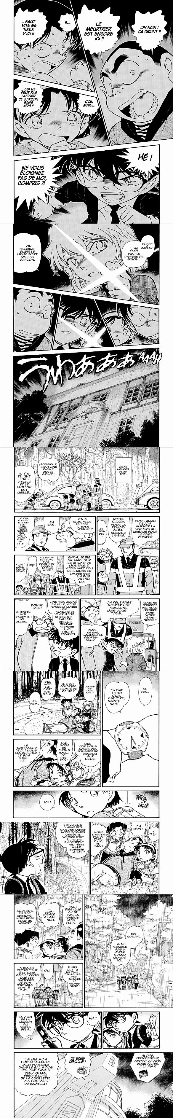 Read Detective Conan FR Manga Online
