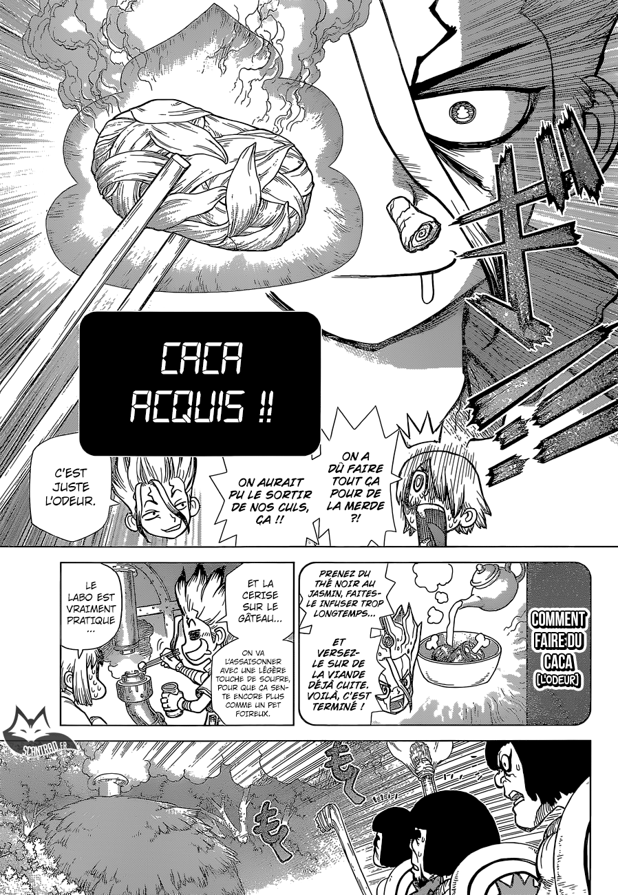 Read Dr. Stone FR Manga Online