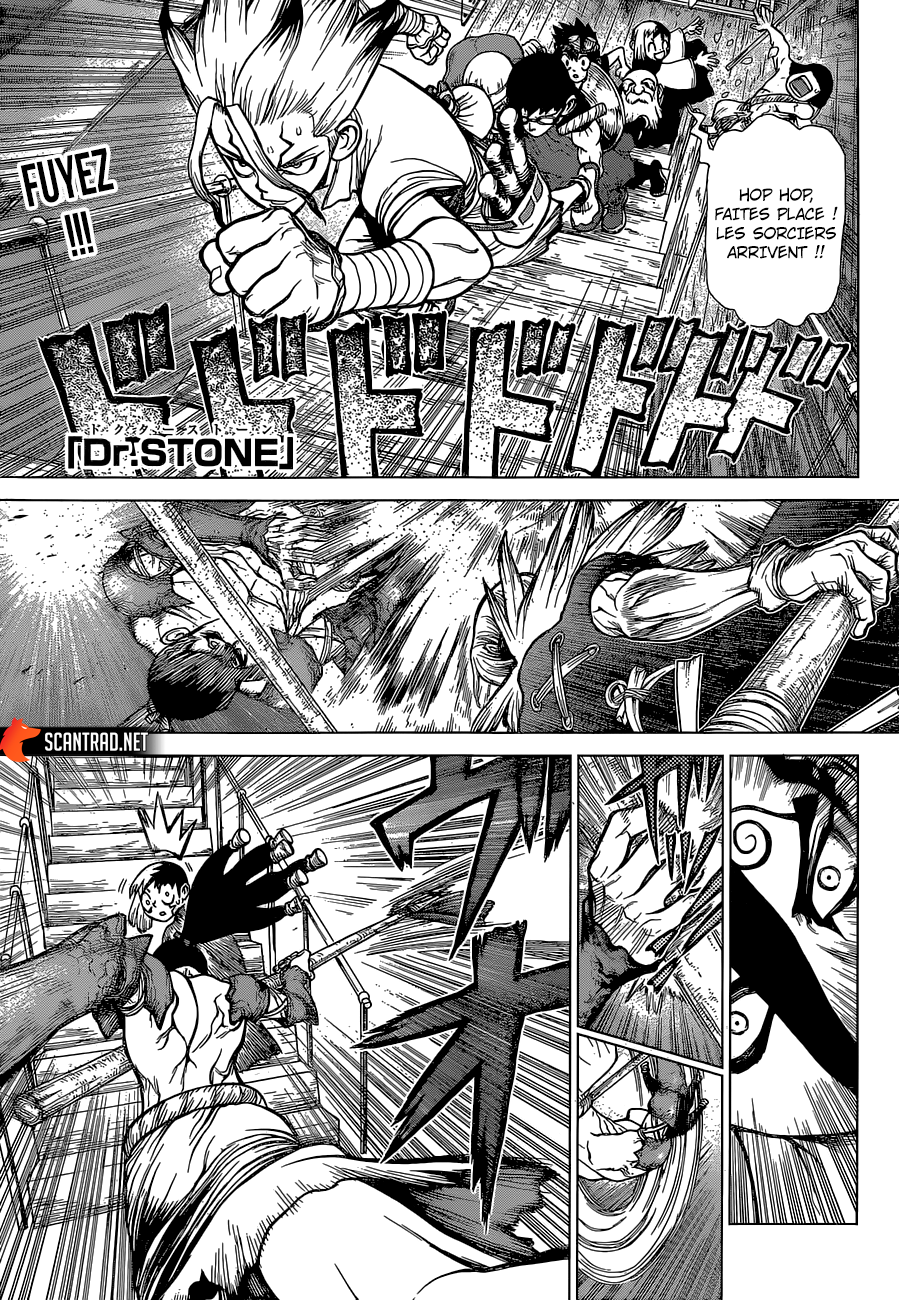 Read Dr. Stone FR Manga Online