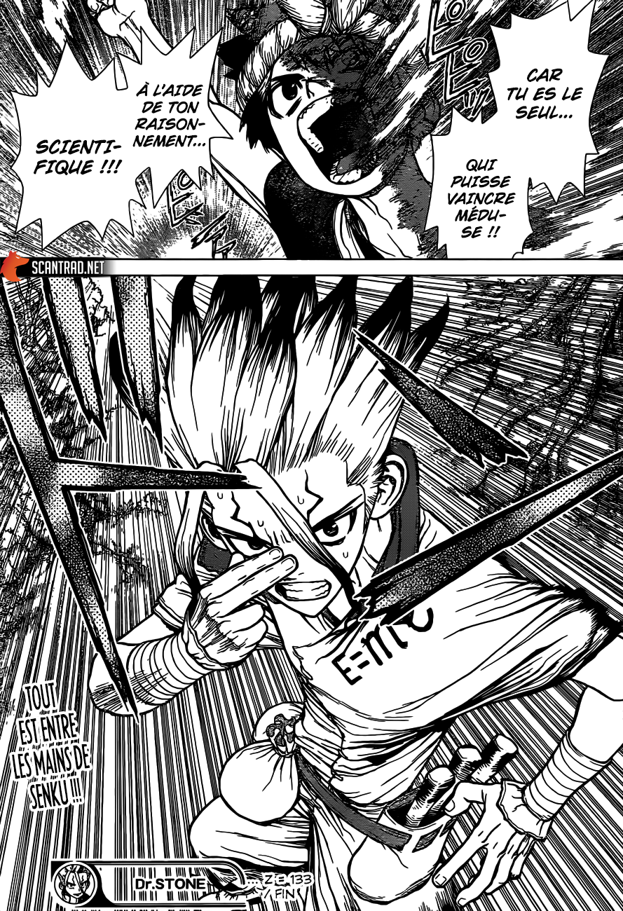 Read Dr. Stone FR Manga Online