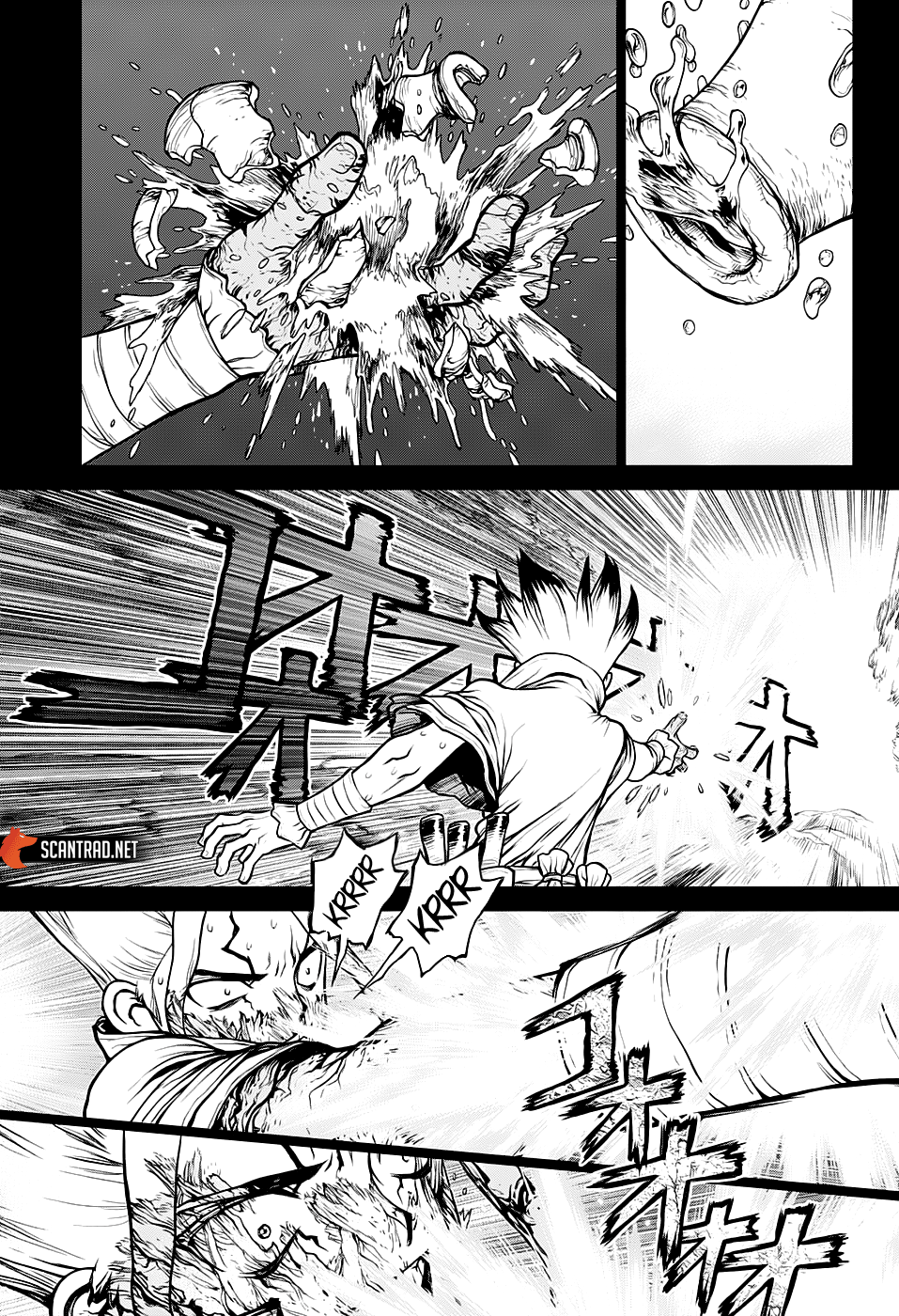 Read Dr. Stone FR Manga Online