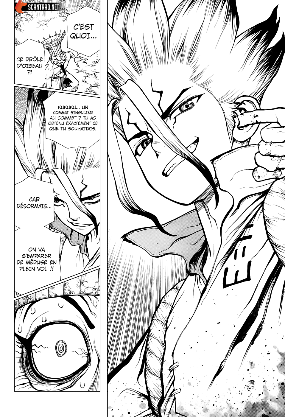 Read Dr. Stone FR Manga Online