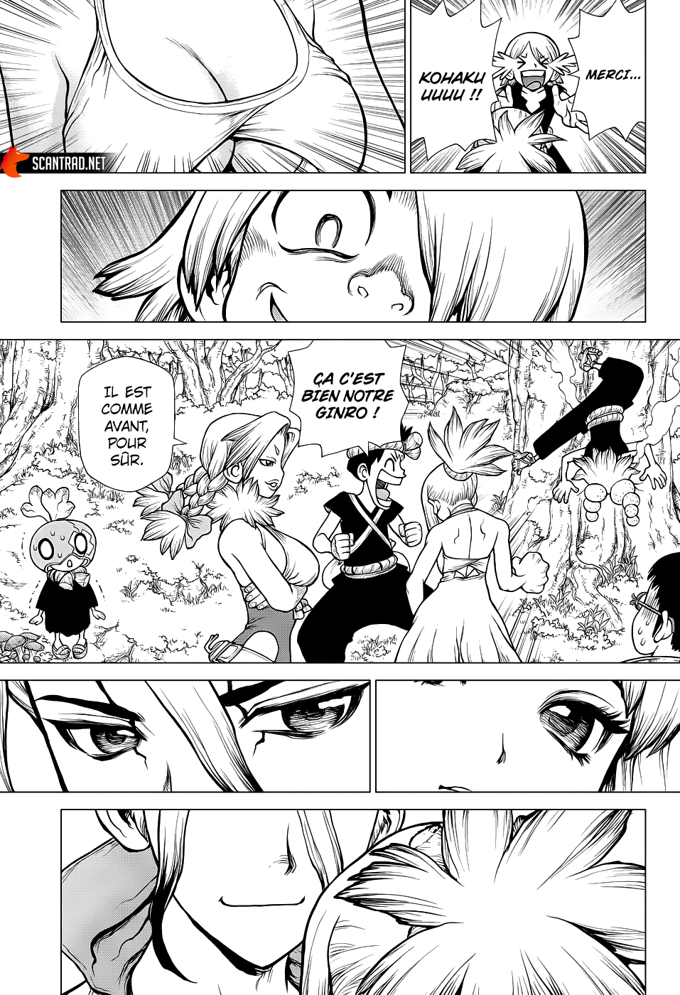 Read Dr. Stone FR Manga Online