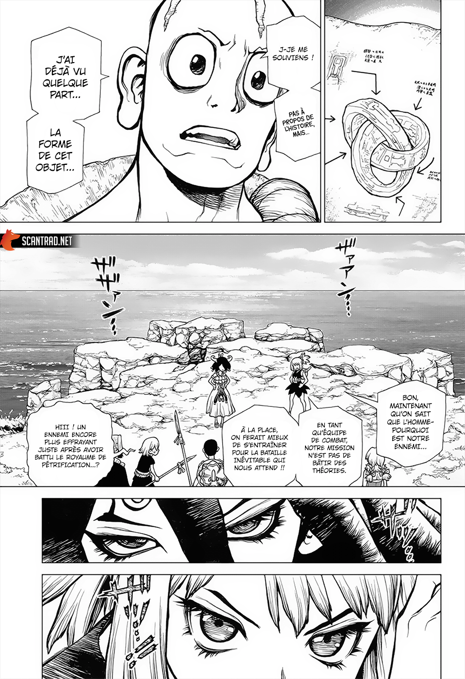 Read Dr. Stone FR Manga Online
