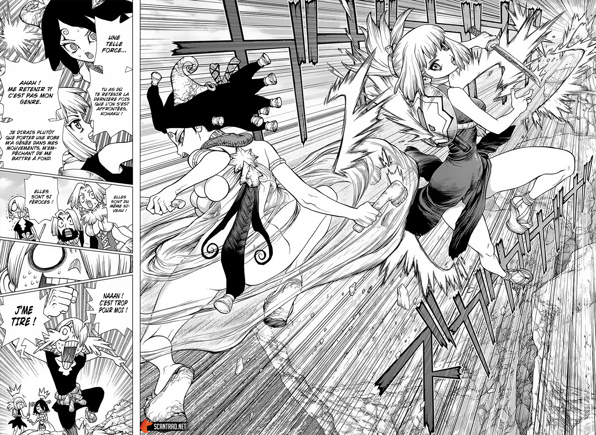 Read Dr. Stone FR Manga Online